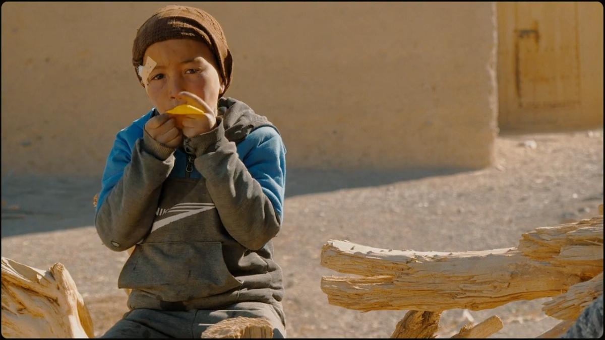 Maroc version van life : Marc Temmerman partage une expérience de liberté, du nord au sud