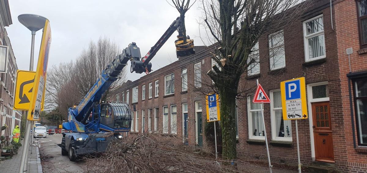 Weekupdate 20 februari