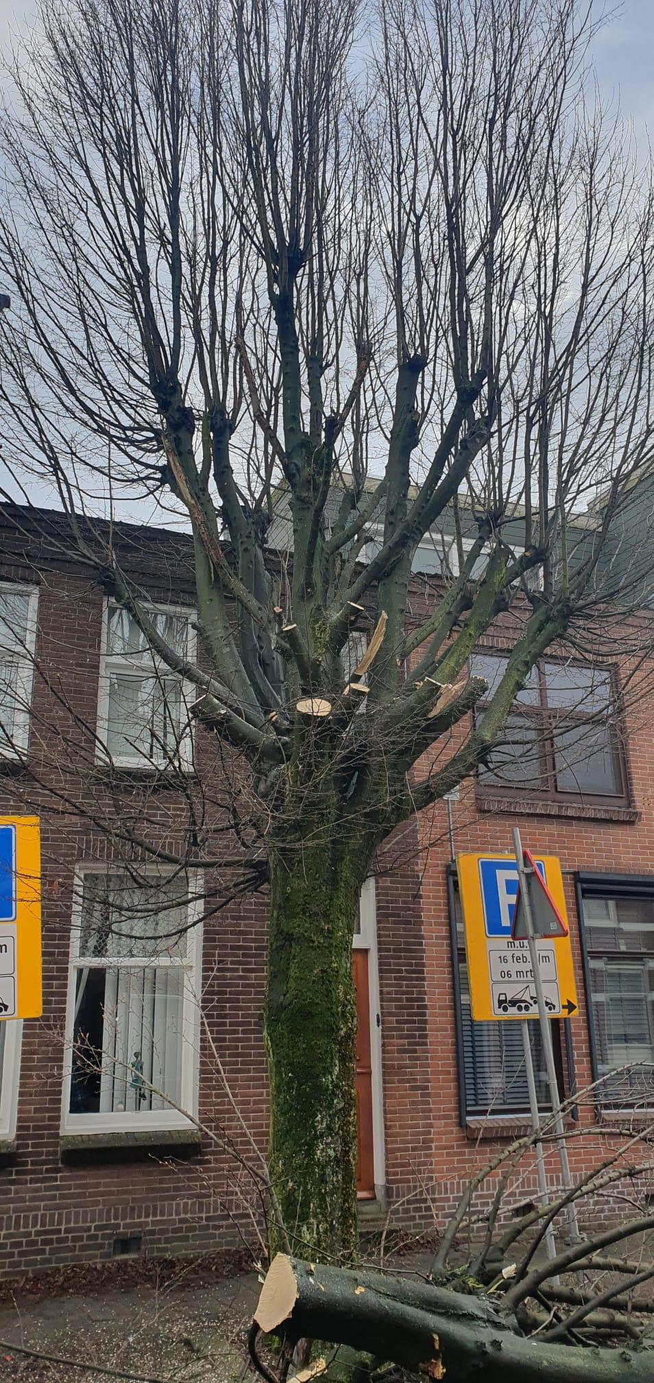 Weekupdate 20 februari Weekupdate 20 februari