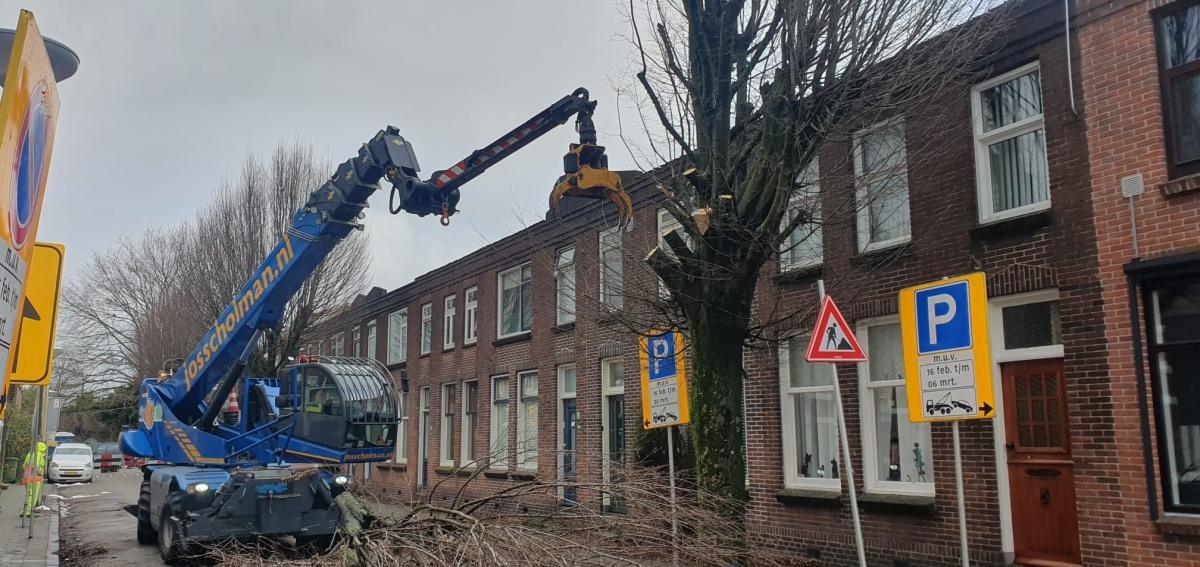 Weekupdate 20 februari