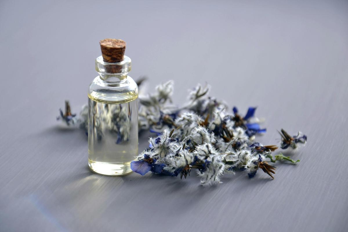 Fragance Atelier: A Sensory Journey at Sea