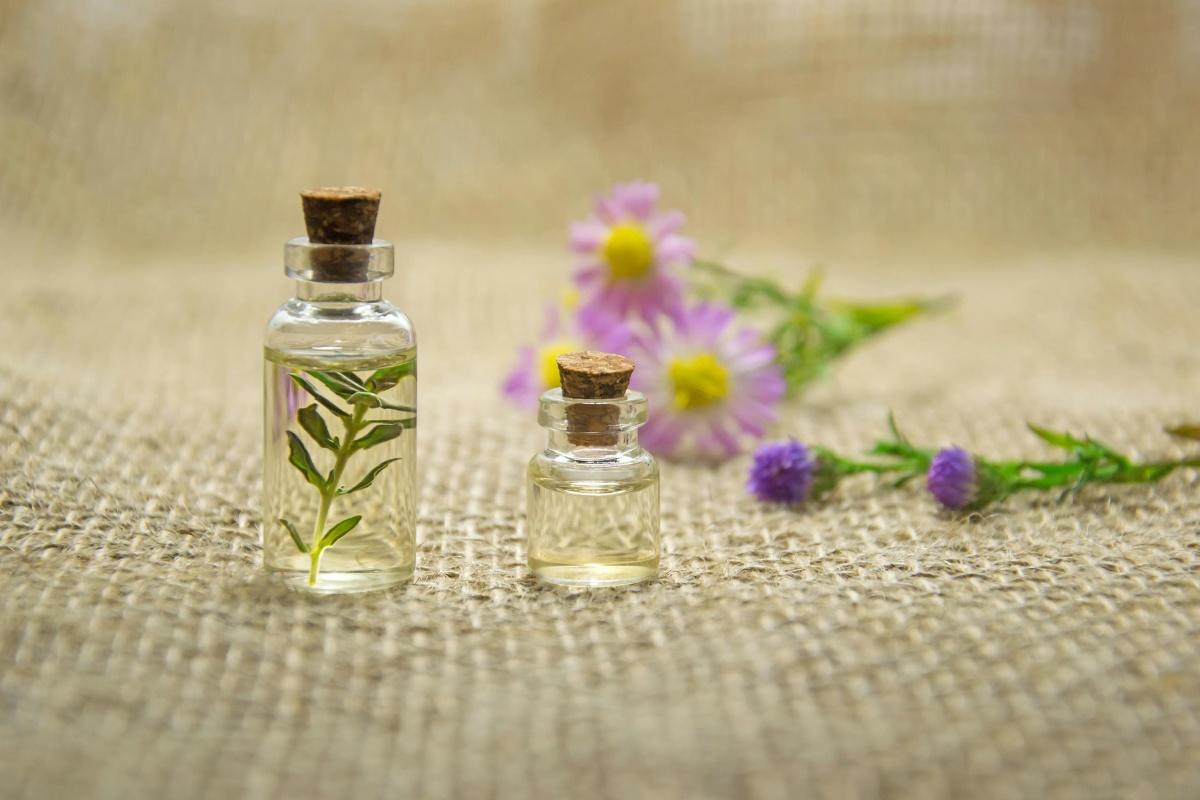 Fragance Atelier: A Sensory Journey at Sea