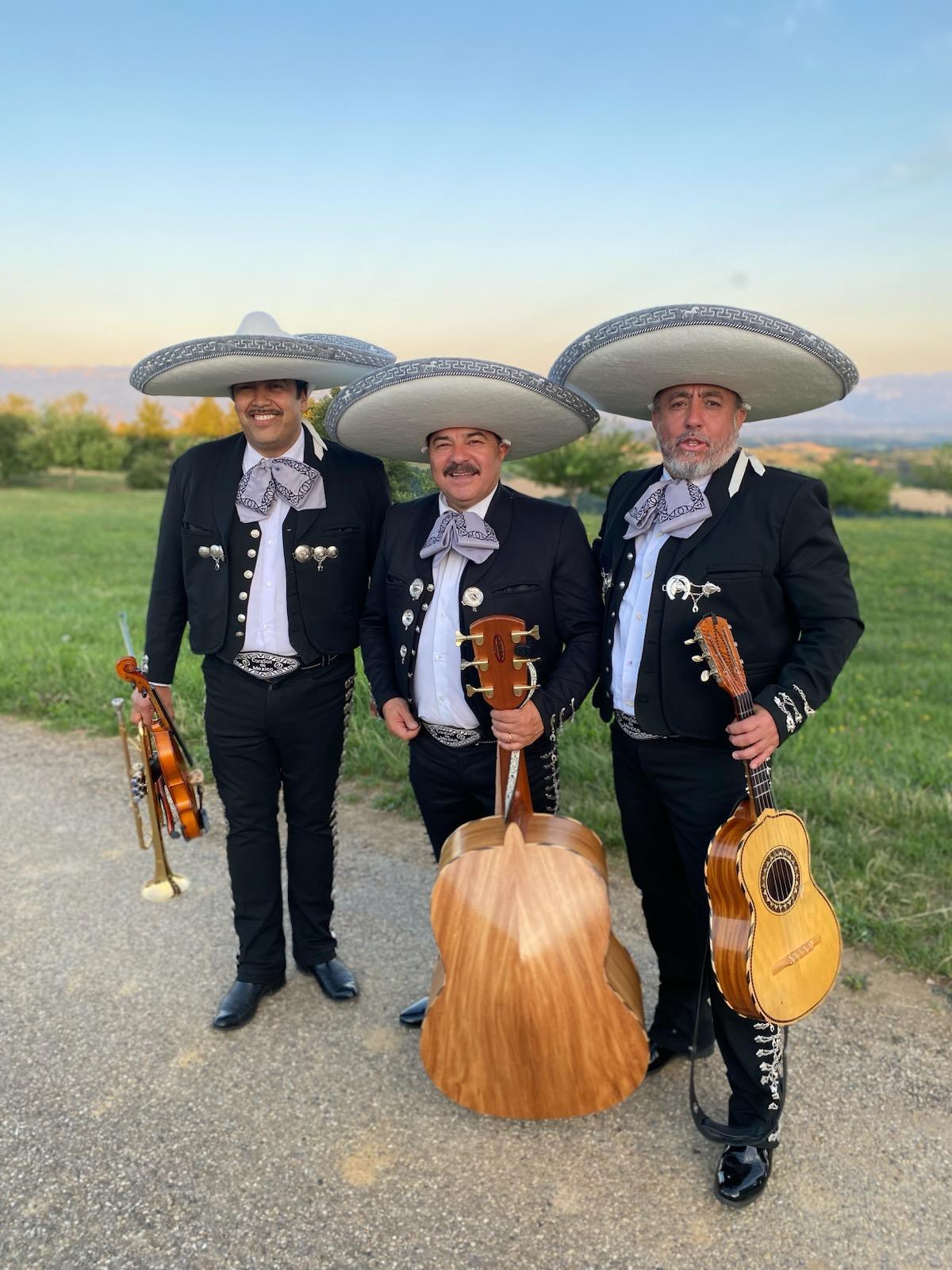 Solart Fiesta Solart Fiesta