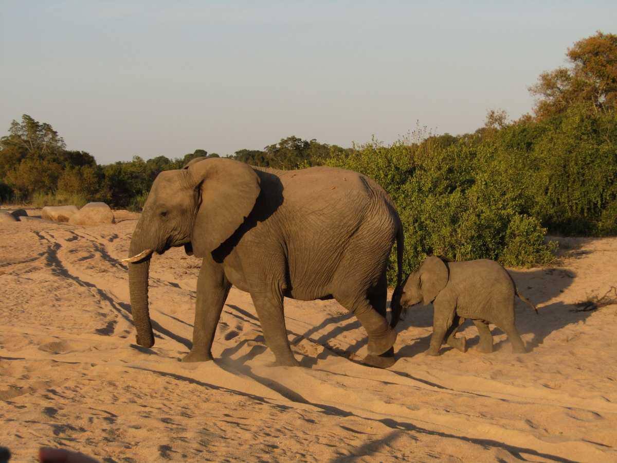 ✈️ Terres d'Exception ✈️ Terres d'Exception