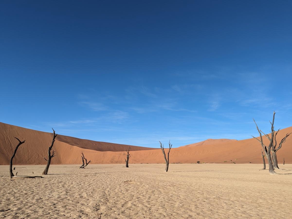 ✈️ Terres d'Exception ✈️ Terres d'Exception