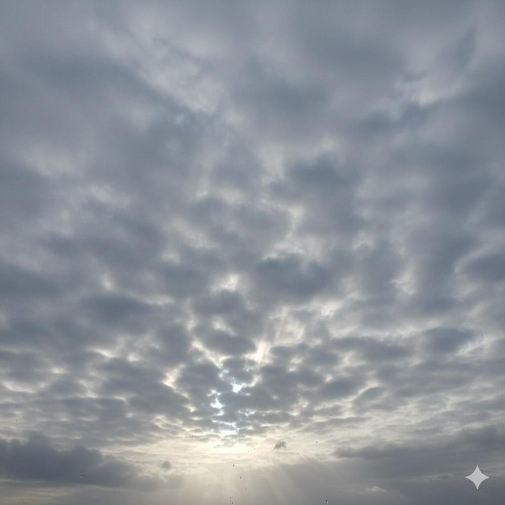 Météo Le Mans 23 janvier 2026 : Prévisions, températures et conseils sorties Météo Le Mans 23 janvier 2026 : Prévisions, températures et conseils sorties