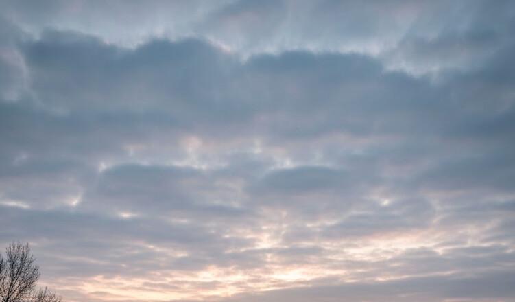 Météo Le Mans 29 janvier 2026 : Prévisions, températures et conseils sorties