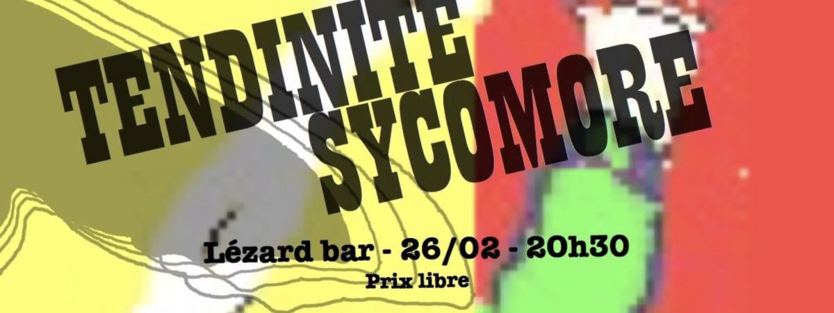 Sycamore + Tendinite au Lézard Sycamore + Tendinite au Lézard