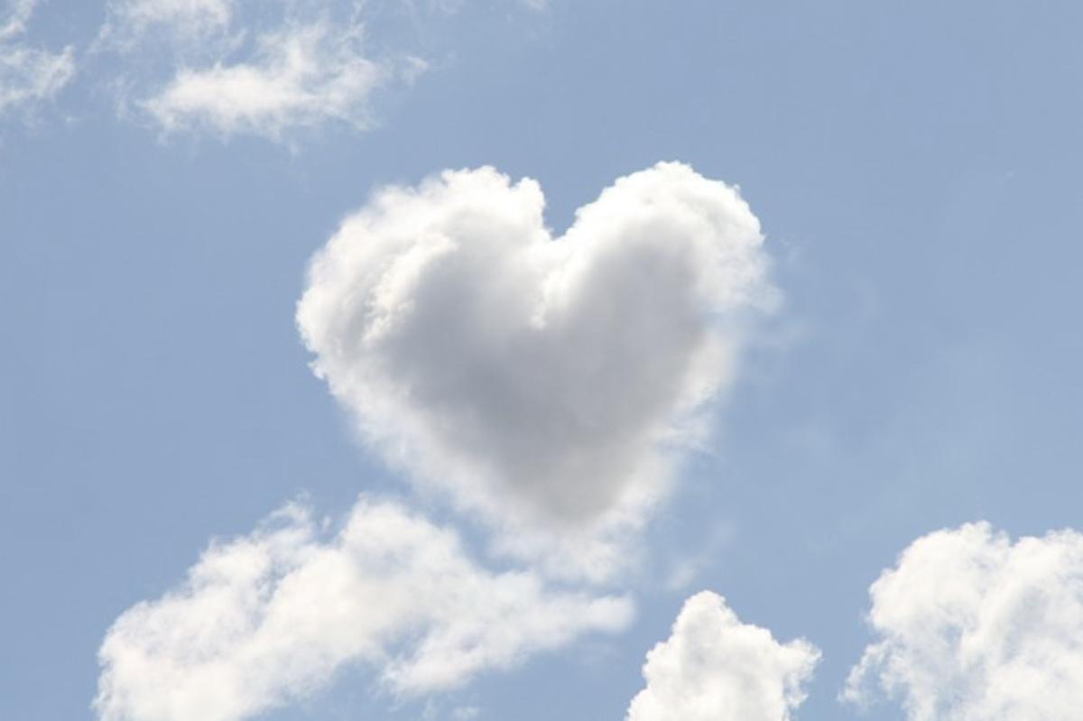 Présentation association Les ailes du renouveau Présentation association Les ailes du renouveau