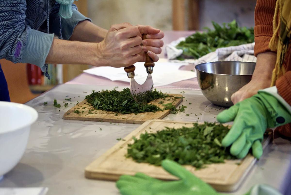 Cueillez et cuisinez des plantes sauvages