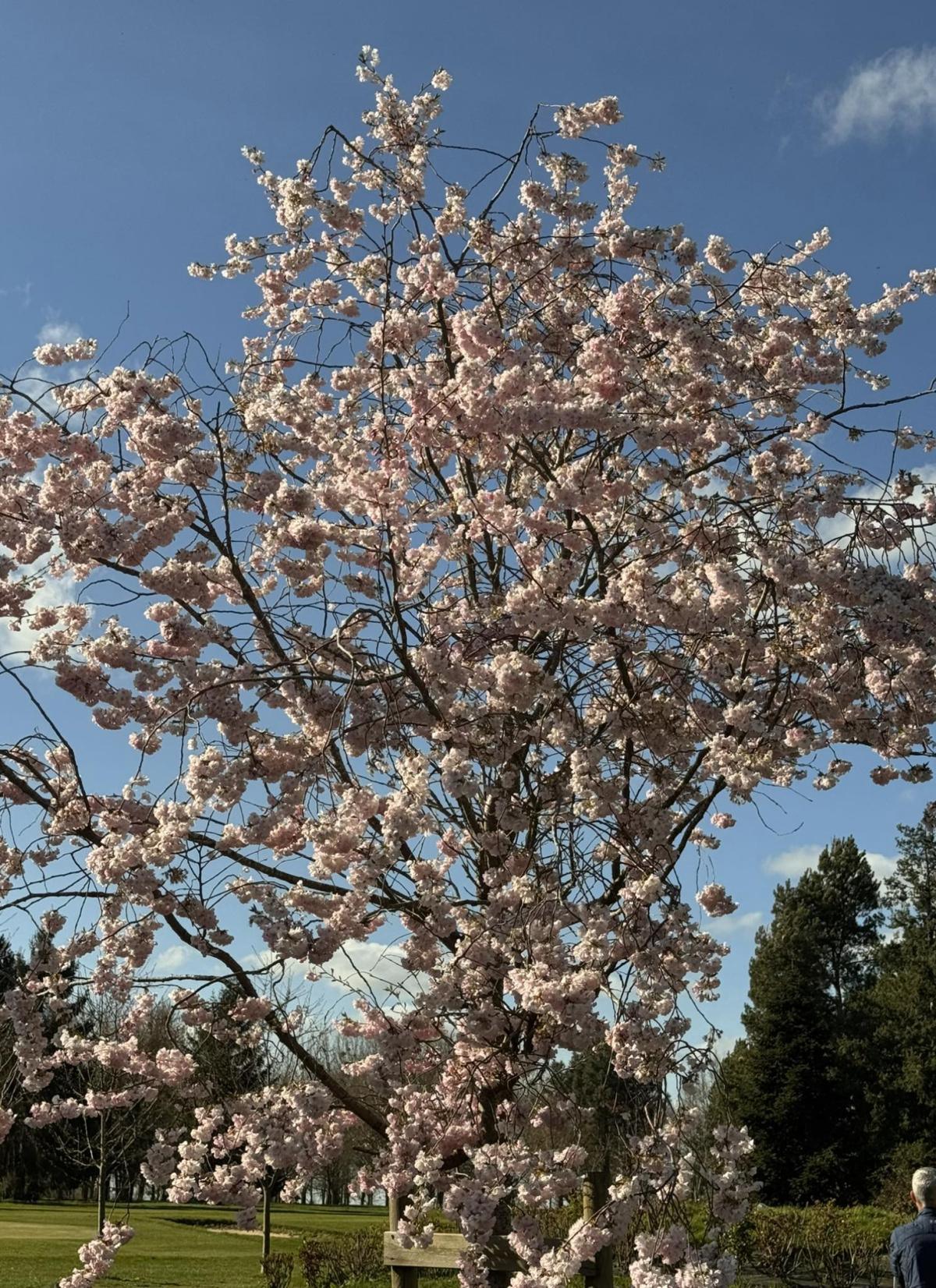 Balade bien-être à l'Arche de la Nature