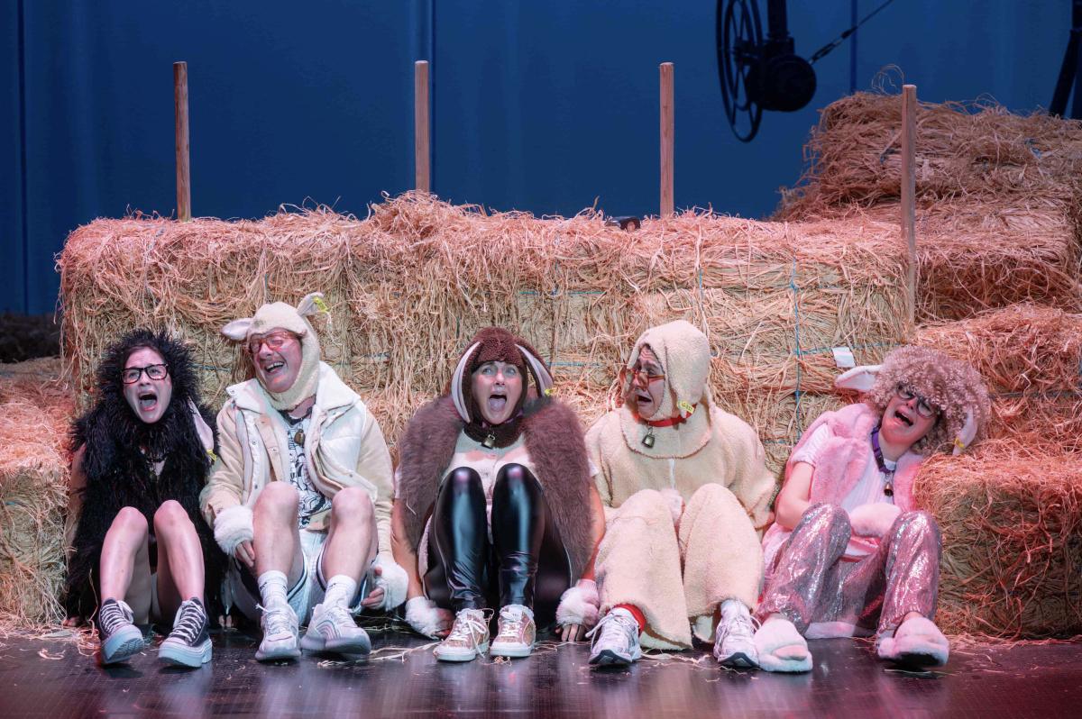 Foutue bergerie aux quinconces Foutue bergerie aux quinconces