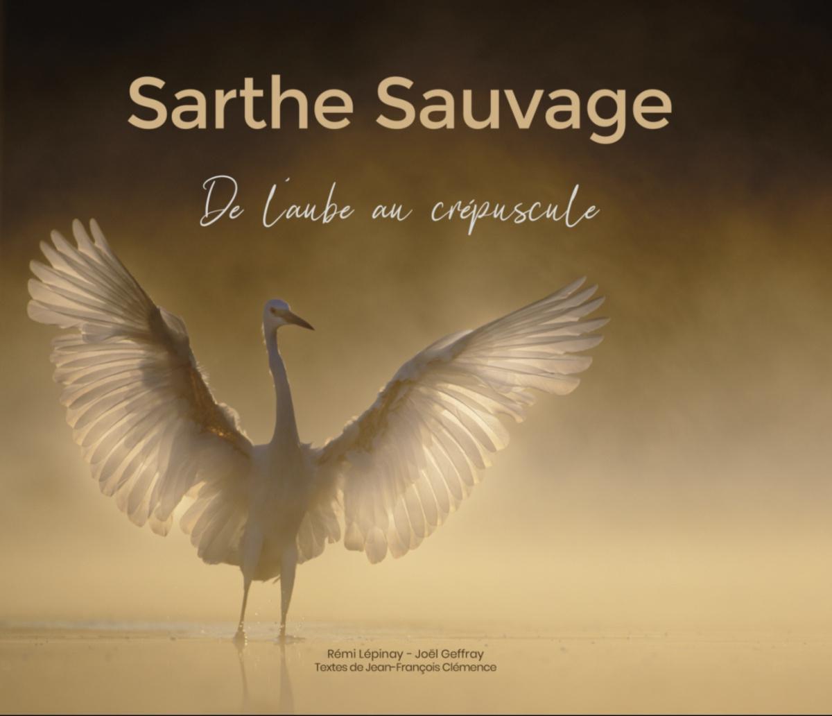 Sarthe sauvage à La Fabrique - Rêves de ville