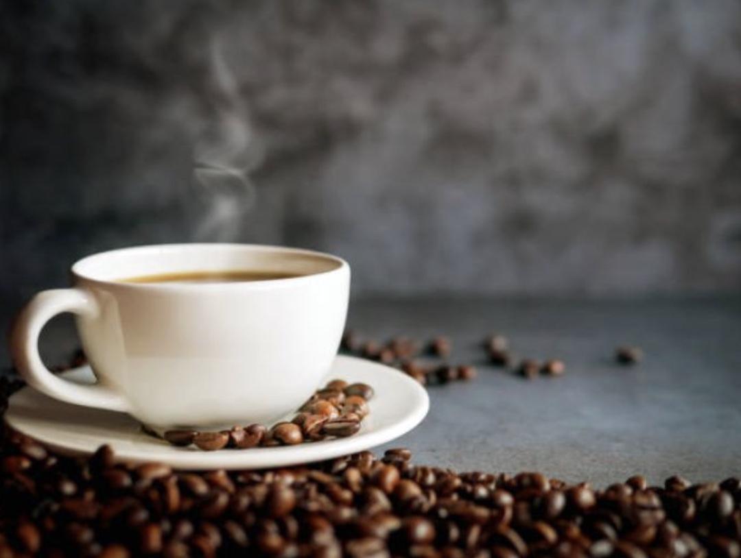 Un café, Albert ! au Musée de Tessé Un café, Albert ! au Musée de Tessé