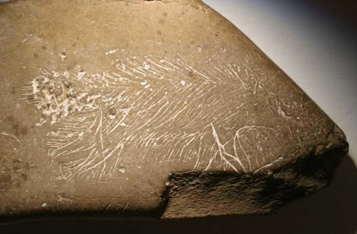 Atelier Graveurs de Mammouths Atelier Graveurs de Mammouths