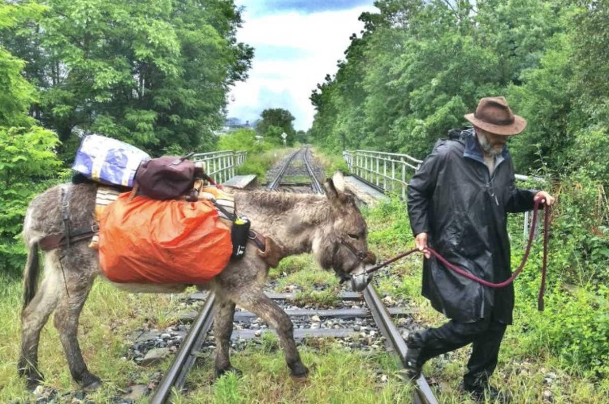 Ciné-Rencontre - Chemins de traverse au Cinéma Les Cinéastes