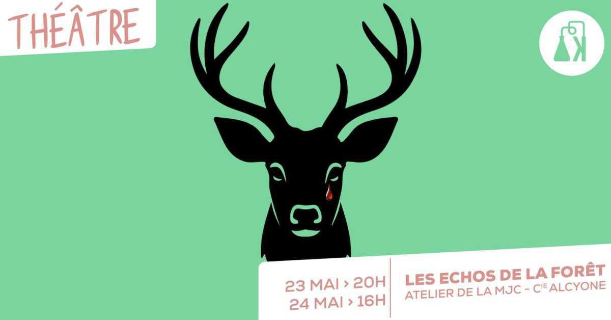 Les Échos de la Forêt à l'Alambik MJC Ronceray
