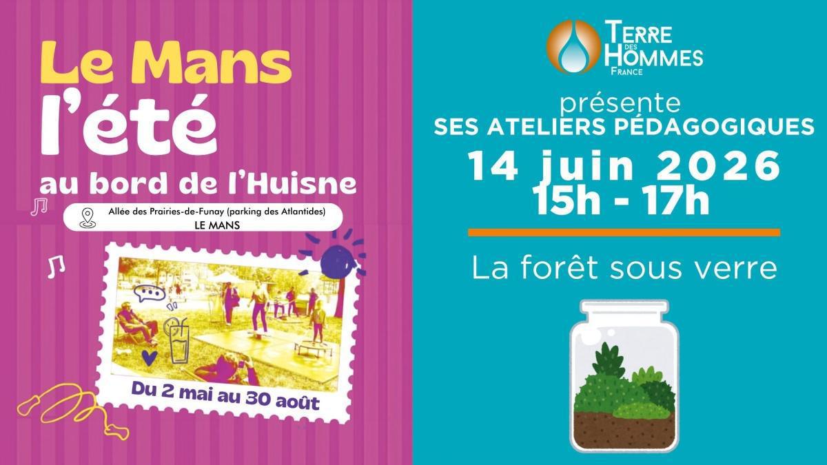 Le Mans l'Été – Atelier TDHF aux Prairies de Funay