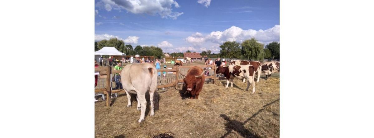 La ferme en fête à l'Arche de la Nature La ferme en fête à l'Arche de la Nature