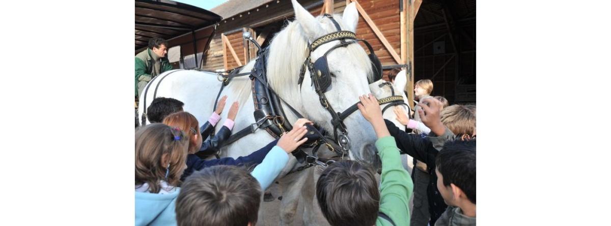 L'Arche de la Nature au pas des percherons au Parking du Verger L'Arche de la Nature au pas des percherons au Parking du Verger