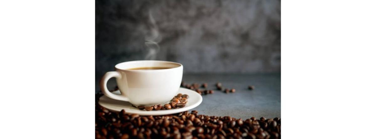 Un café Albert ! Discussion artistique au musée de Tessé