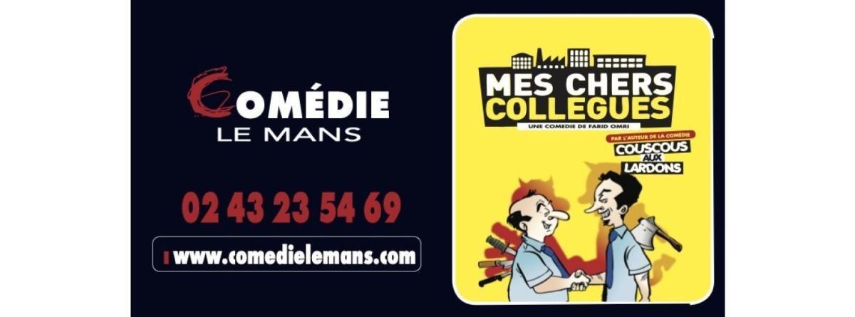 Mes Chers Collègues à la Comédie Le Mans