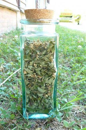 Sur les pas des plantes médicinales à la Maison de la Prairie Sur les pas des plantes médicinales à la Maison de la Prairie
