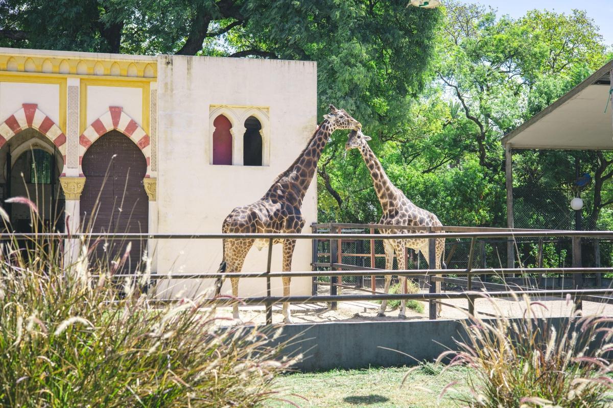 Où dormir près du zoo de La Flèche ? Lodges du parc, hôtels et villes d'étape Où dormir près du zoo de La Flèche ? Lodges du parc, hôtels et villes d'étape