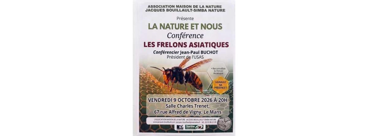 La Nature et nous : les frelons asiatiques La Nature et nous : les frelons asiatiques