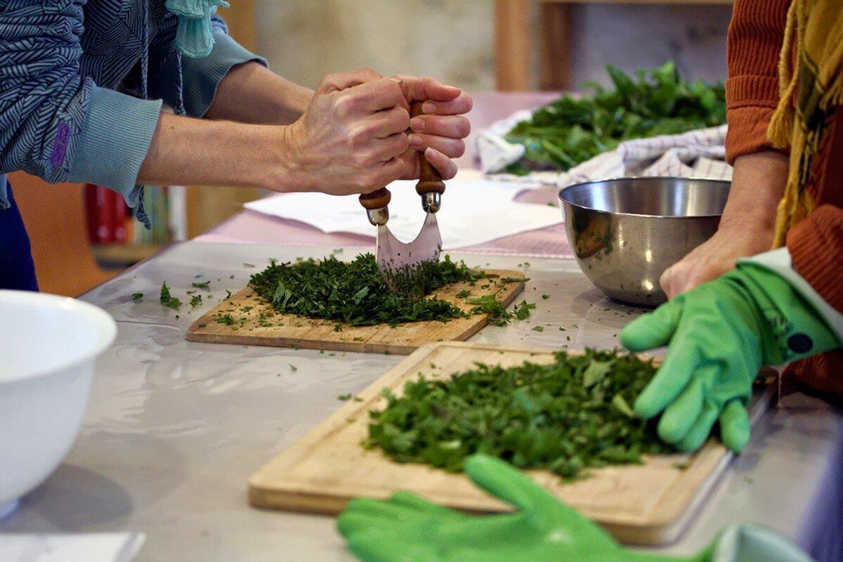 Cueillez et cuisinez des plantes sauvages à Fay Cueillez et cuisinez des plantes sauvages à Fay