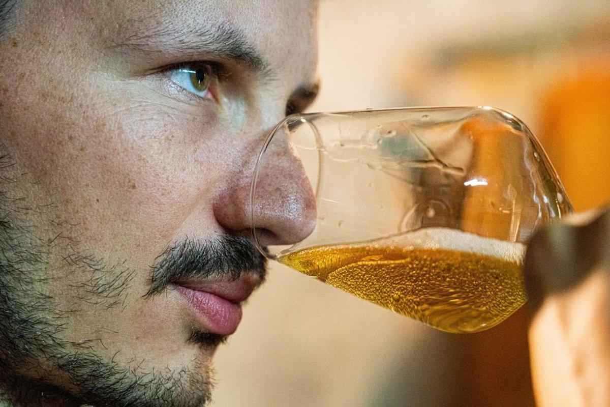Visitez une cidrerie et dégustez du cidre avec Théo ou Robin à Sargé-lès-le-Mans Visitez une cidrerie et dégustez du cidre avec Théo ou Robin à Sargé-lès-le-Mans