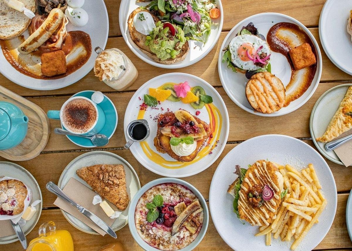 Top 5 des brunchs les mieux notés sur Google au Mans en octobre 2026 Top 5 des brunchs les mieux notés sur Google au Mans en octobre 2026