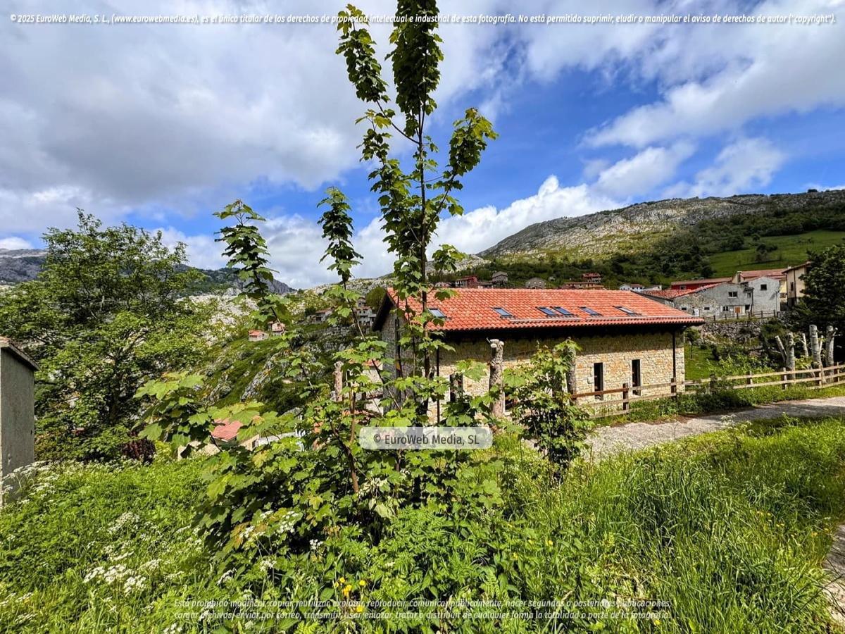 Zona exterior