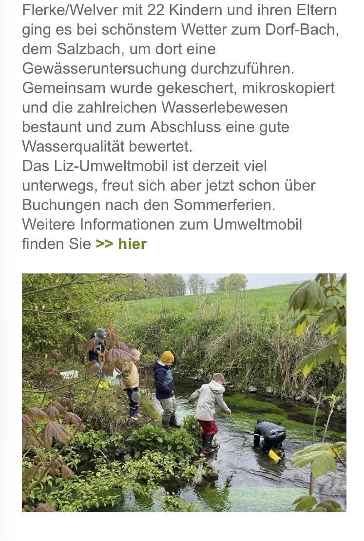Soester Anzeiger und Newsletter LIZ