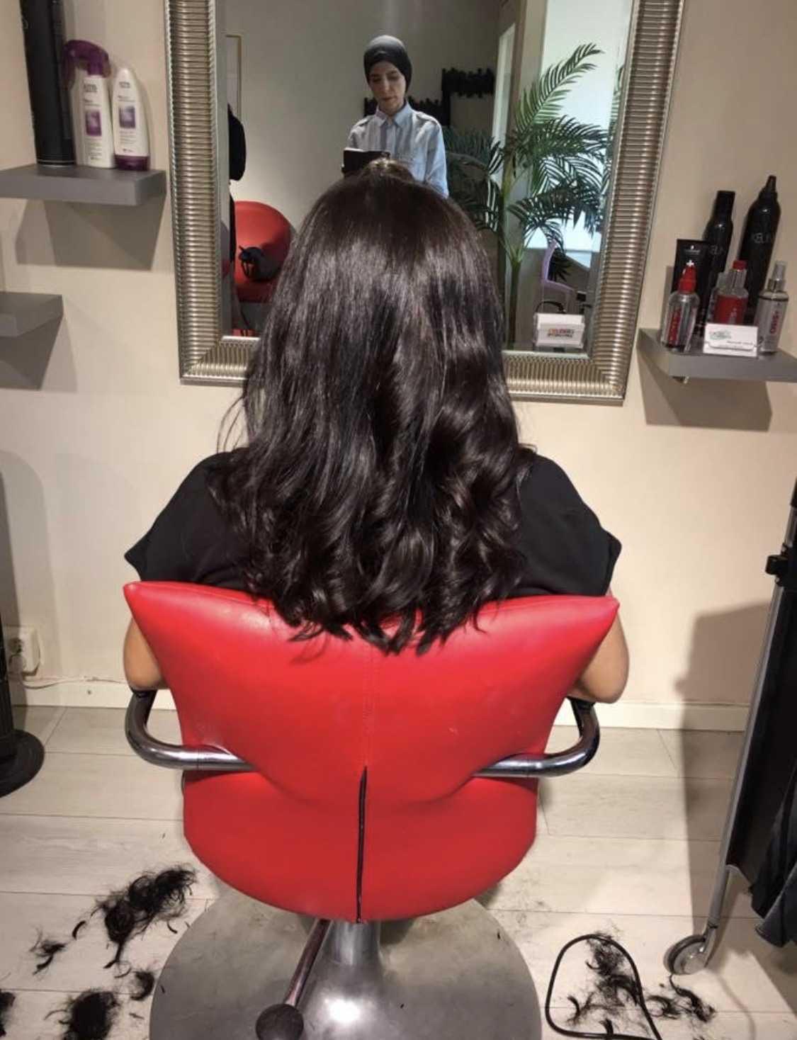 Colors International