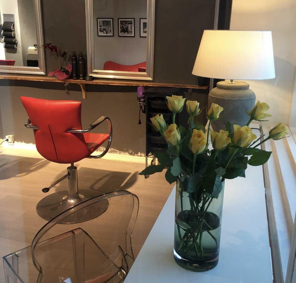 Colors International