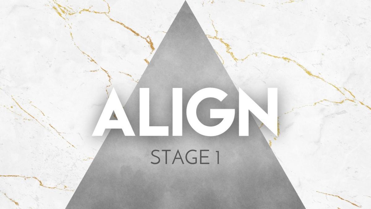 SCALE YOUR SUCCESS WITHOUT SACRIFICING YOURSELF