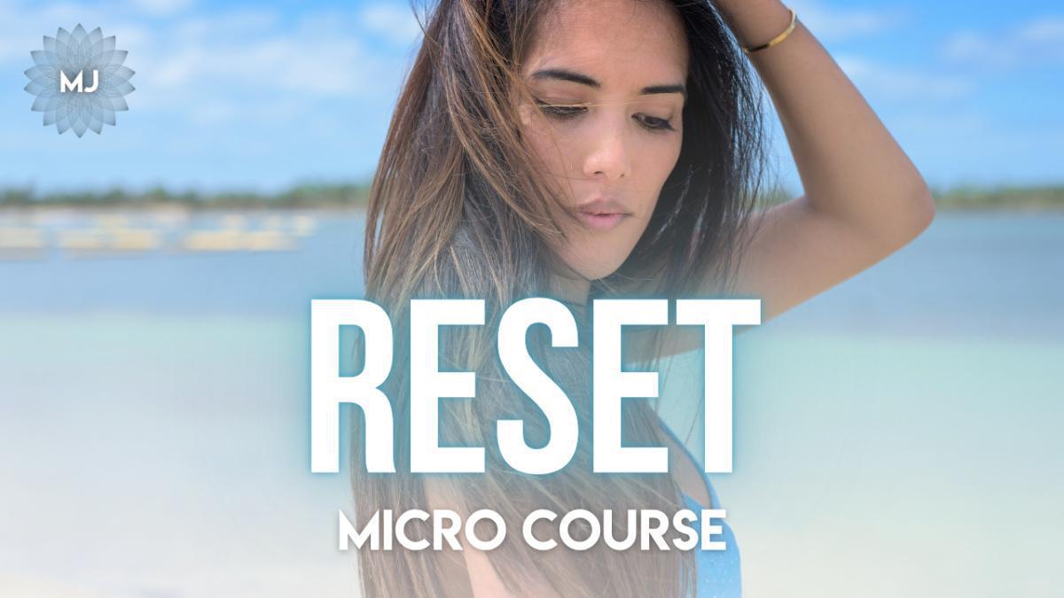 FREE RESET MICRO-COURSE