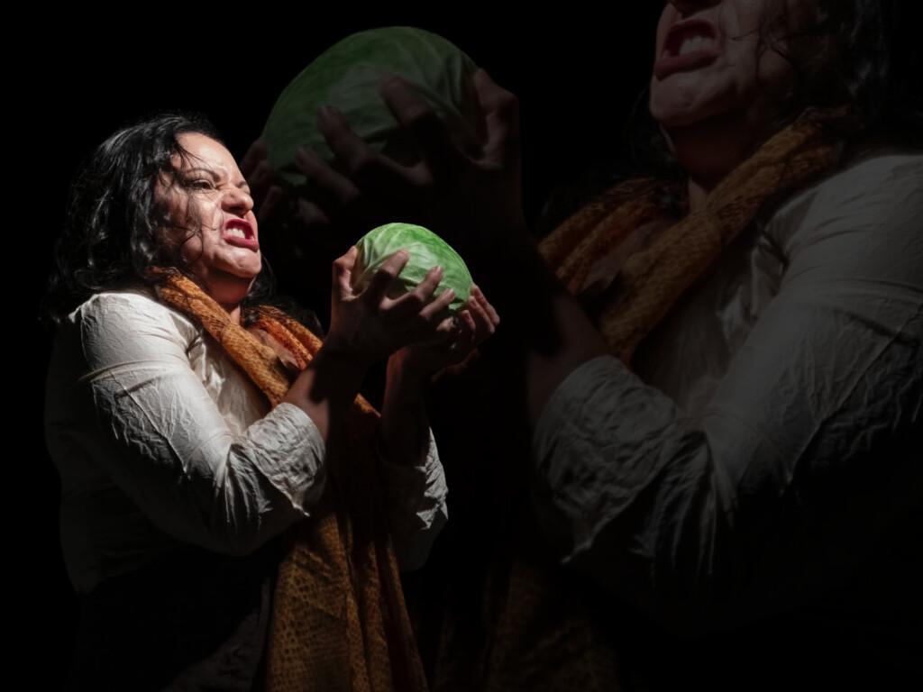 A Borra - Animal Móvel: Abertura de Processo A Borra - Animal Móvel: Abertura de Processo