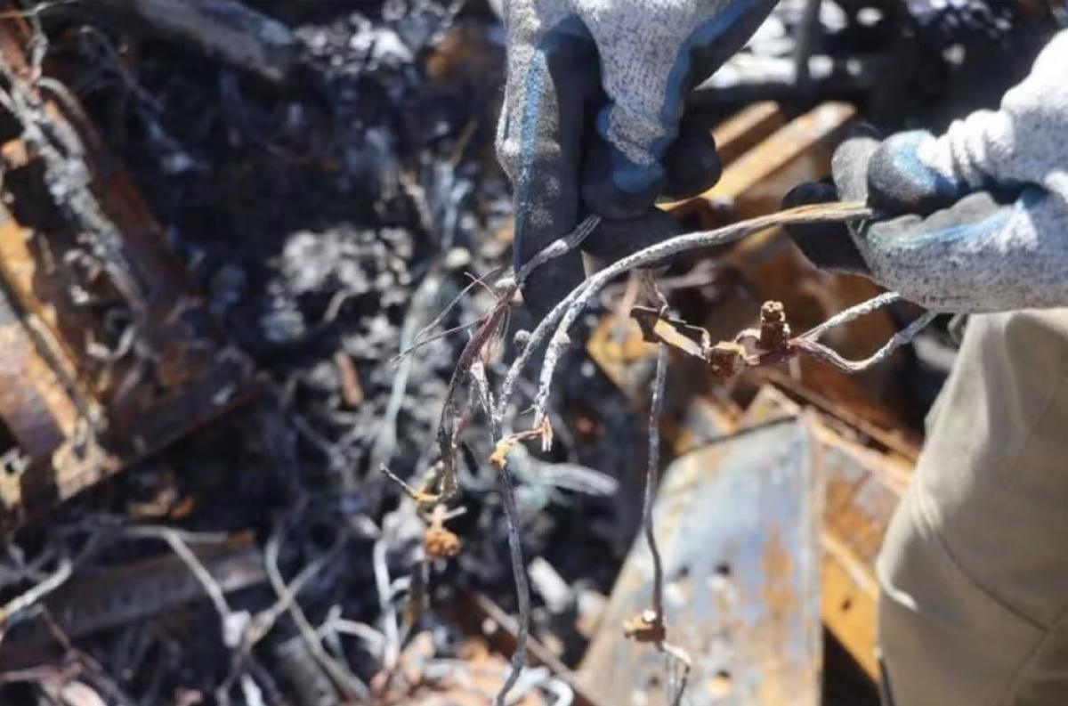 Após incêndio, Circo do Tirú prepara reestreia com nova lona e estrutura inédita em Pernambuco Após incêndio, Circo do Tirú prepara reestreia com nova lona e estrutura inédita em Pernambuco