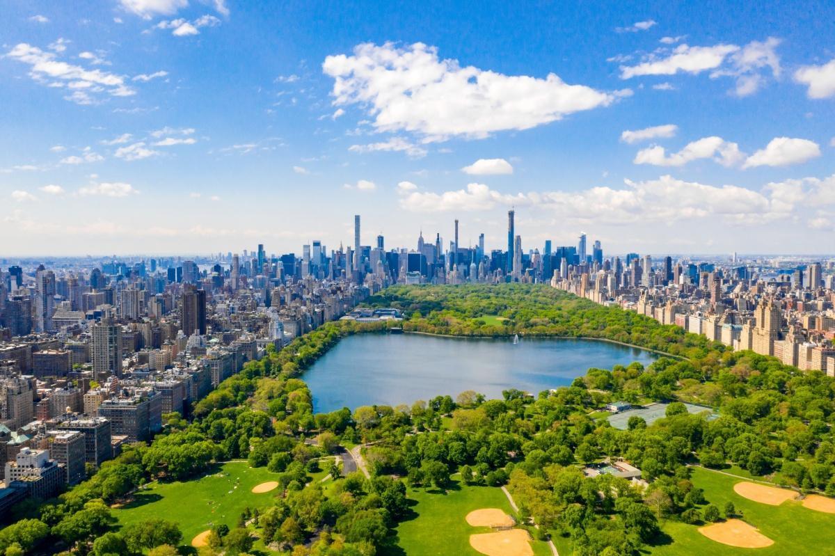 New York New York