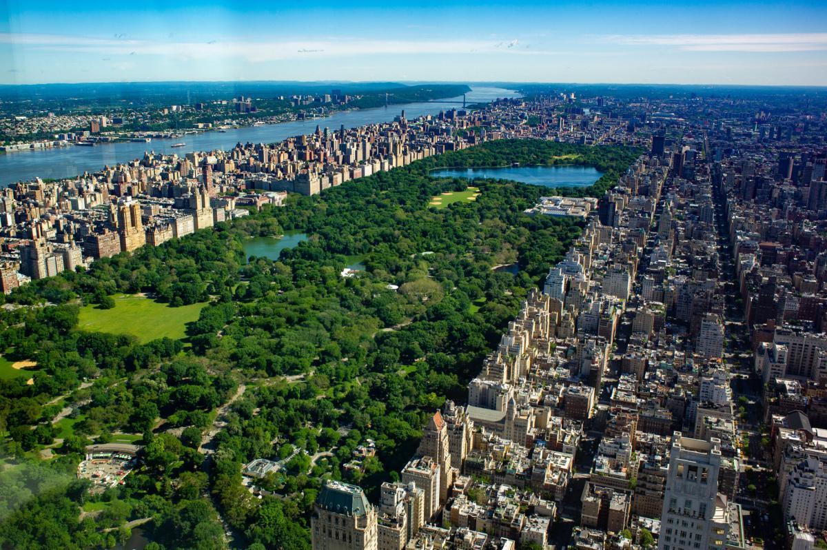 New York New York