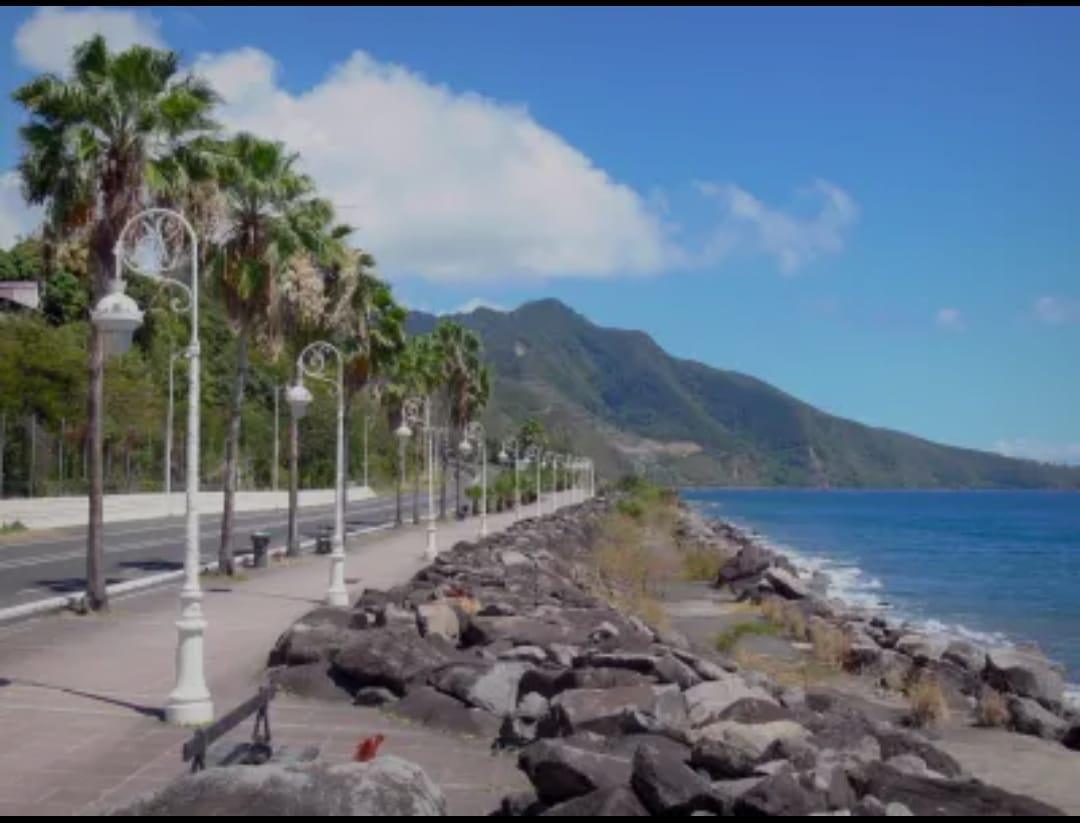 🇬🇵 Conférence-rencontre spéciale Basse-Terre !