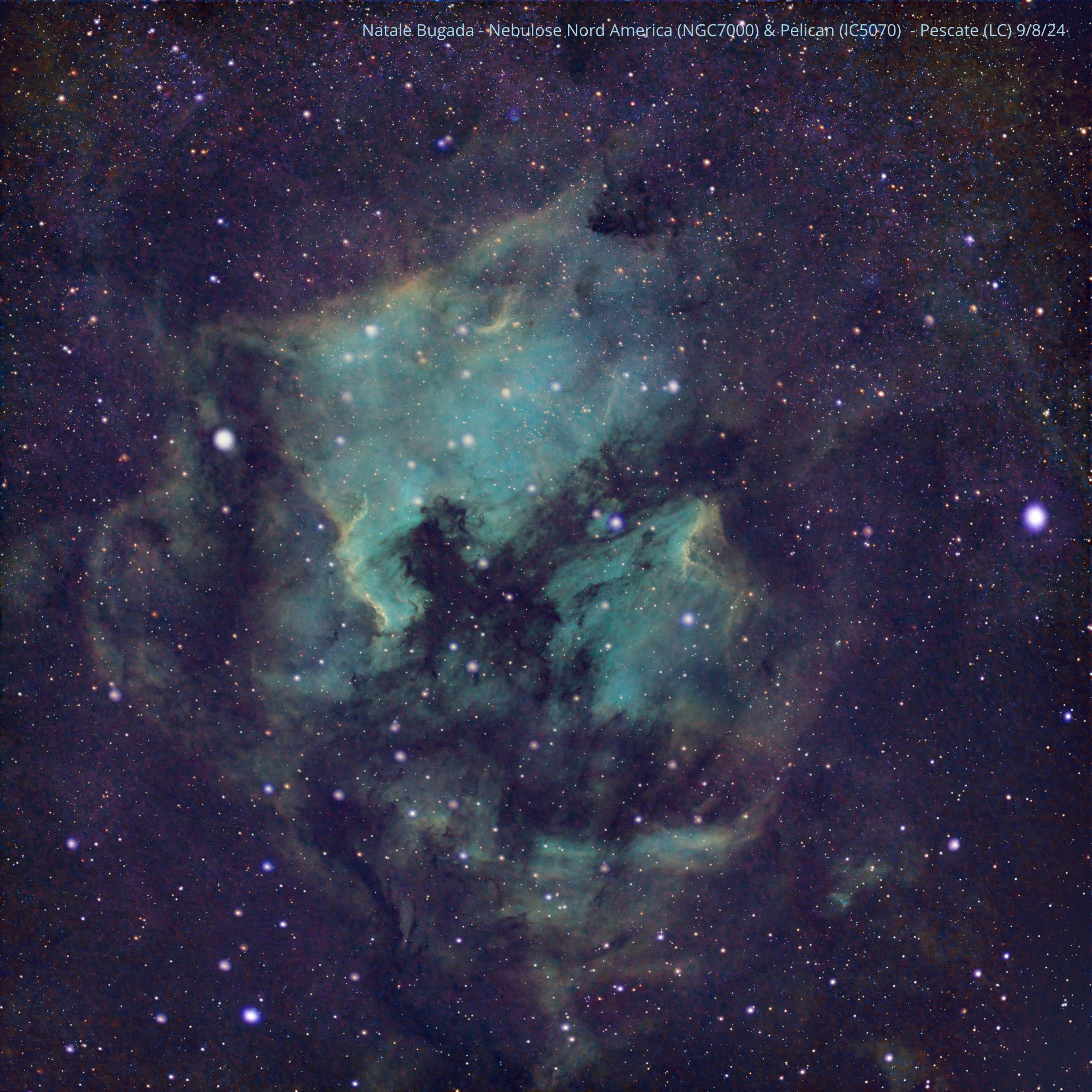 Nebulose NordAmerica e Pellicano