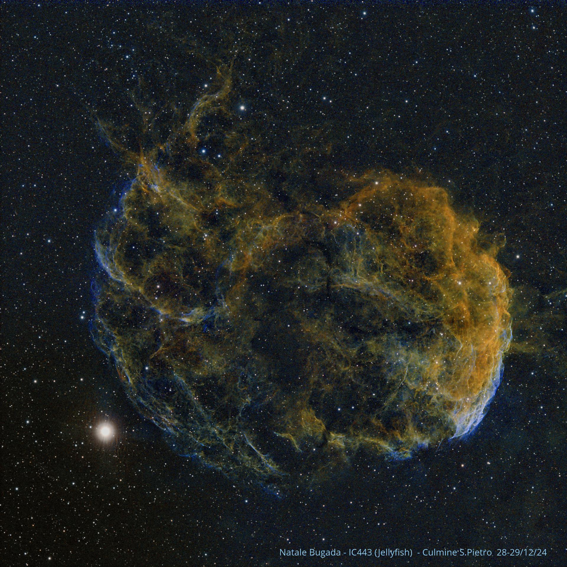Nebulosa Jellyfysh (IC443)