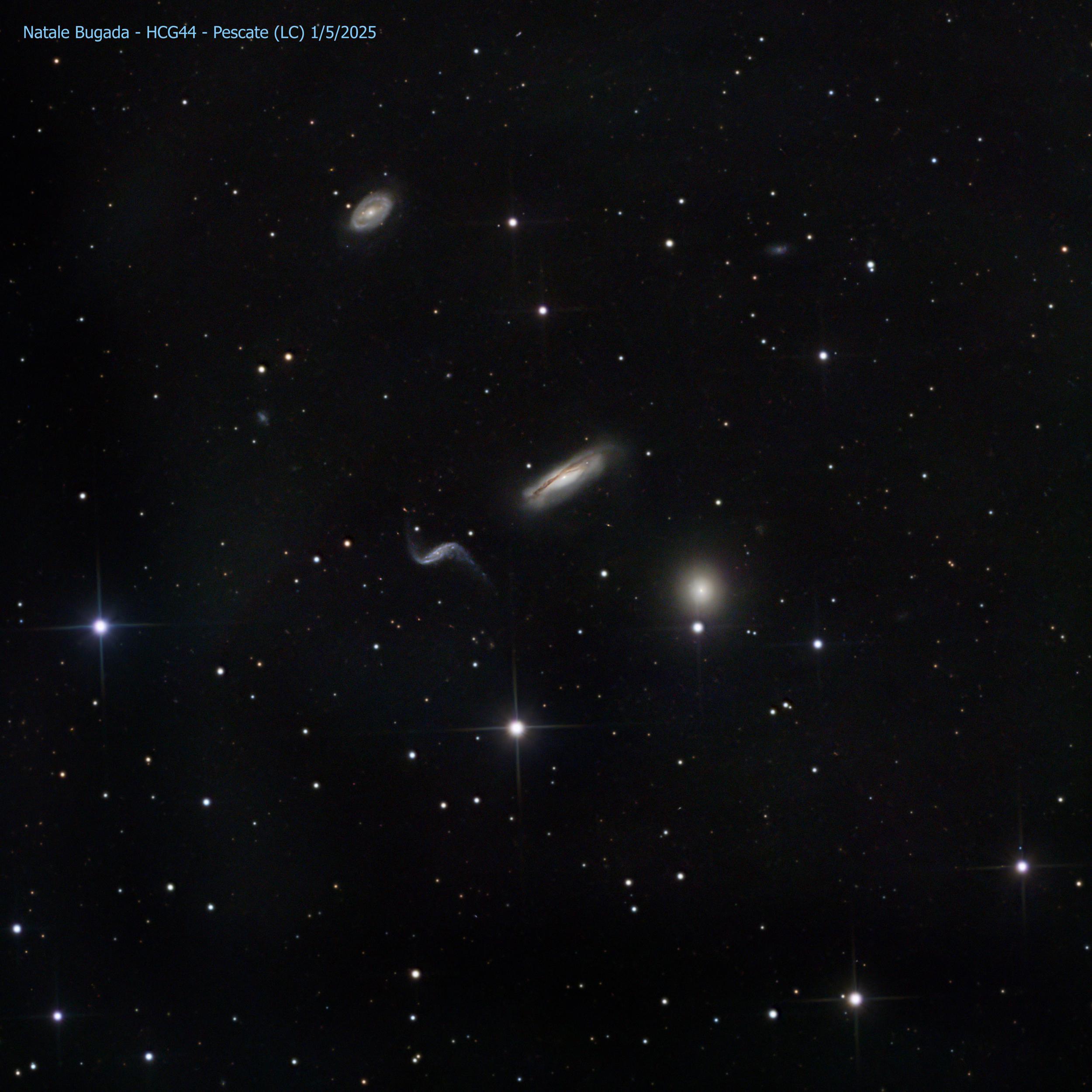 Gruppo di Galassie HCG44 