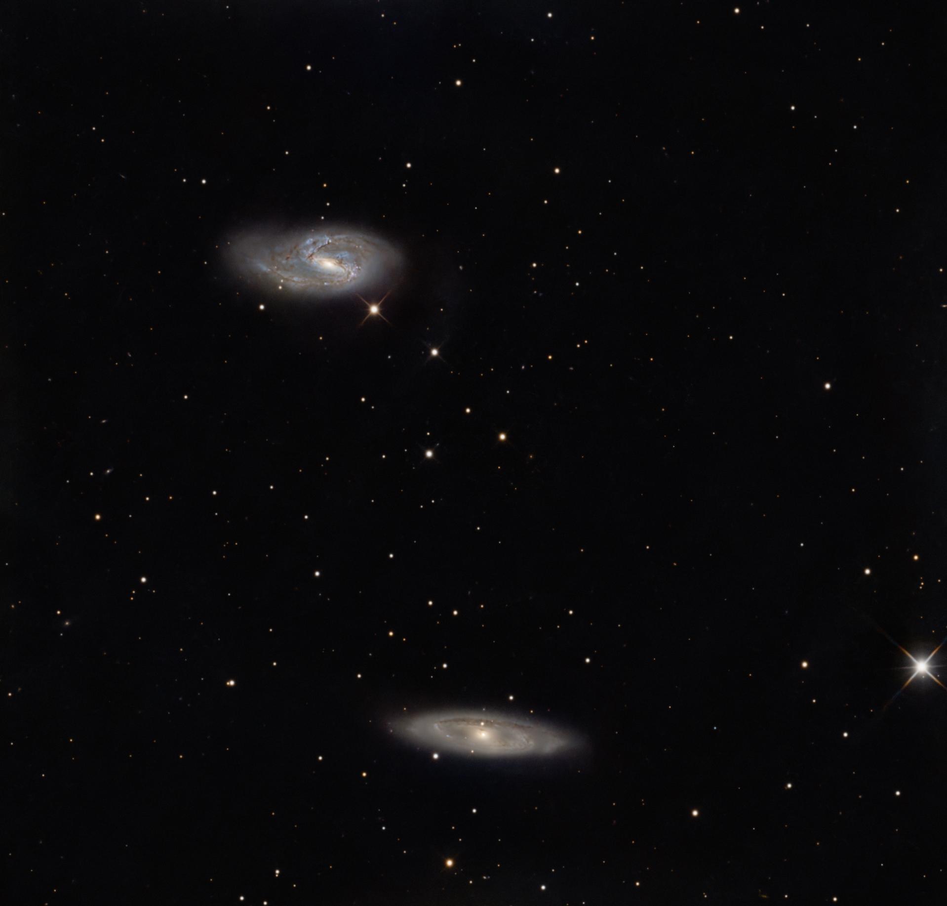 Galassie M65 e M66