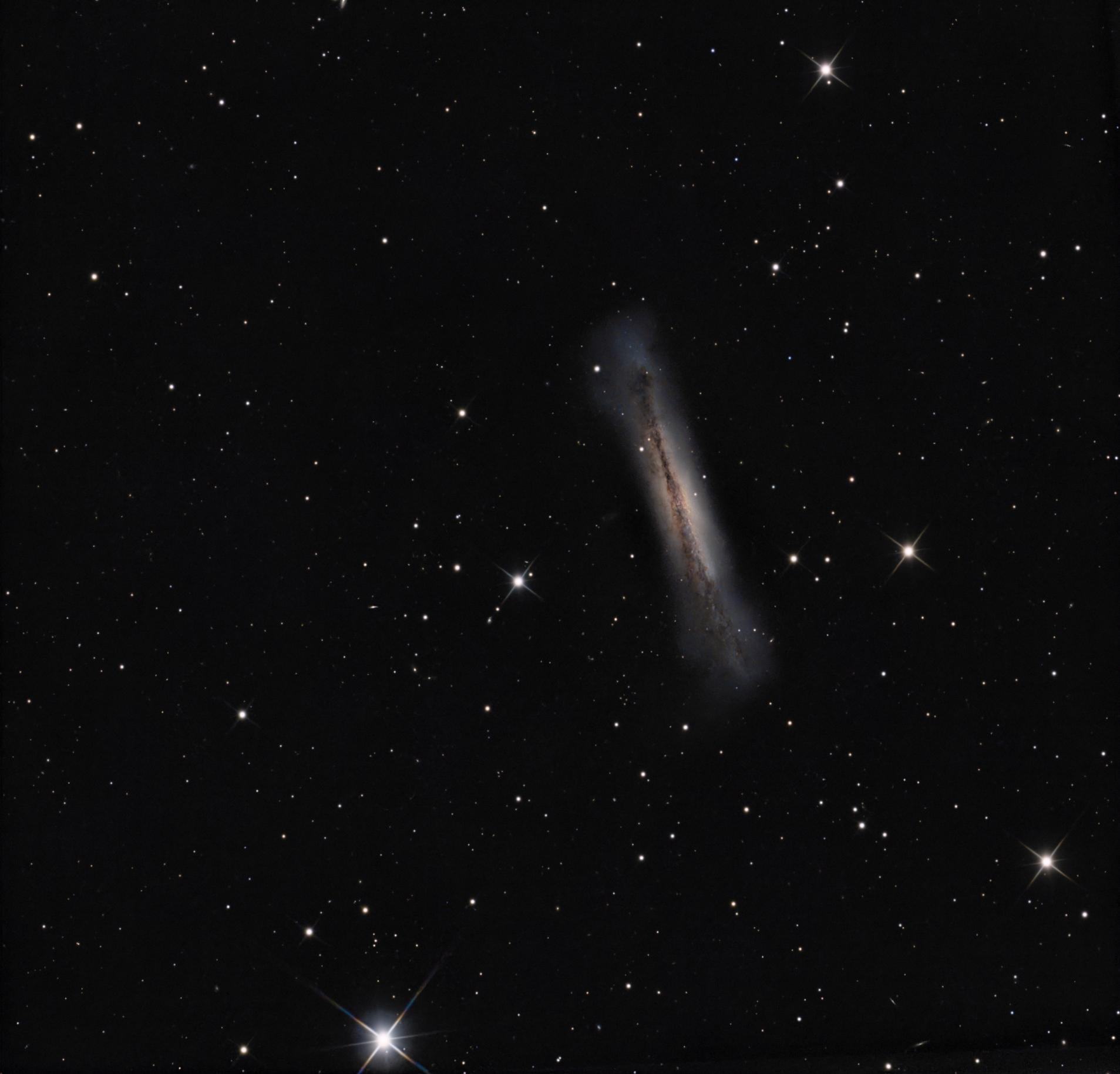 Galassia Hamburger (NGC3628)