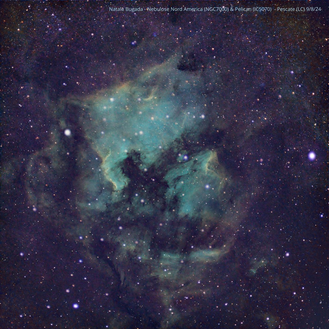 Nebulose NordAmerica e Pellicano