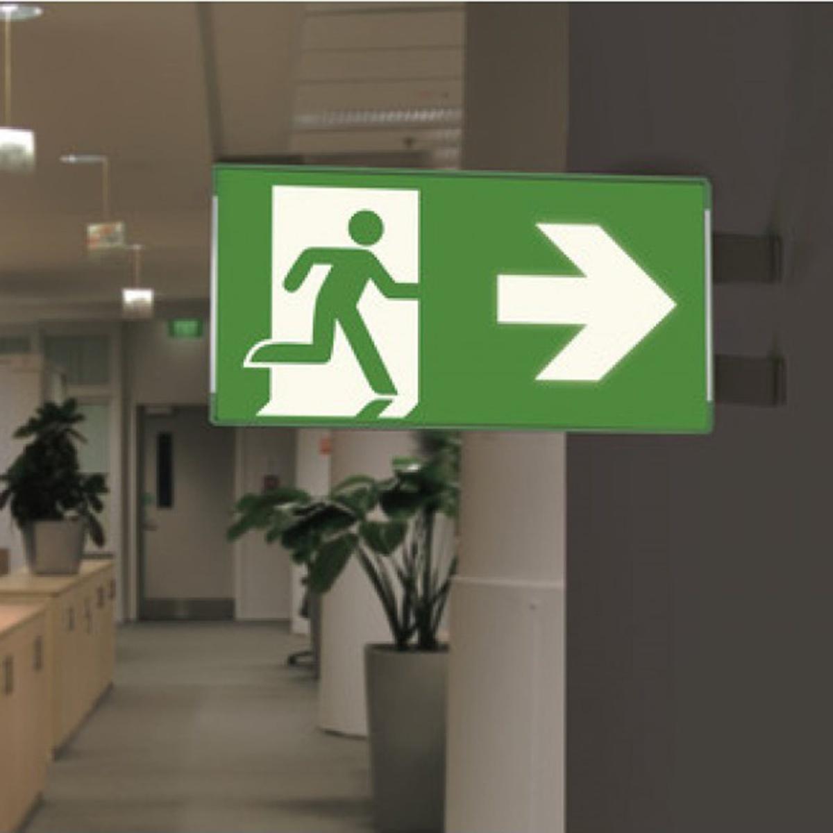 Segnaletica di Sicurezza Luminescente Rettangolare Segnaletica di Sicurezza Luminescente Rettangolare